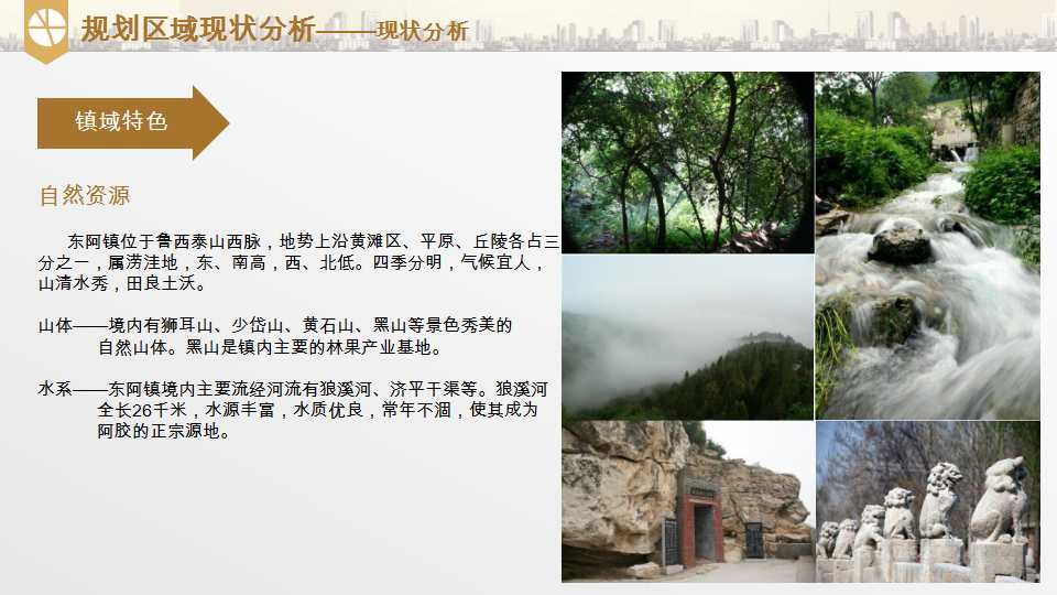 平阴县东阿阿胶小镇项目介绍20190528_08.png