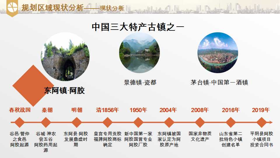 平阴县东阿阿胶小镇项目介绍20190528_10.png