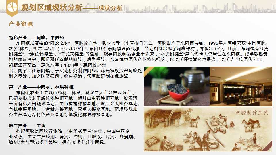 平阴县东阿阿胶小镇项目介绍20190528_11.png