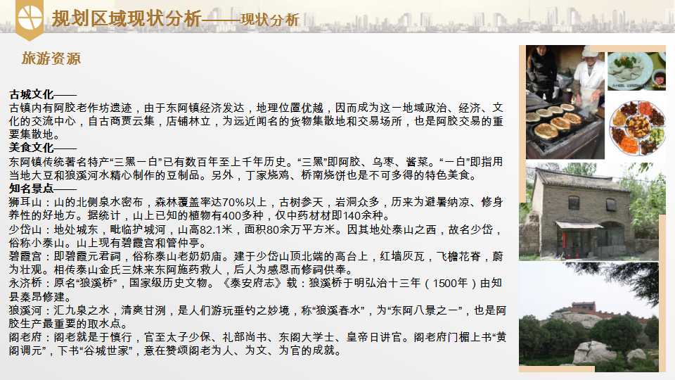 平阴县东阿阿胶小镇项目介绍20190528_12.png