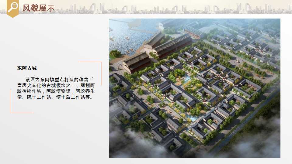 平阴县东阿阿胶小镇项目介绍20190528_40.png