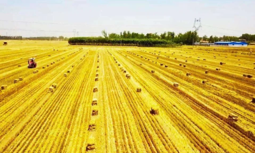 1615618217469001365.jpg 444.jpg