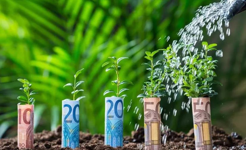 1622536899288097584.jpg 2.jpg